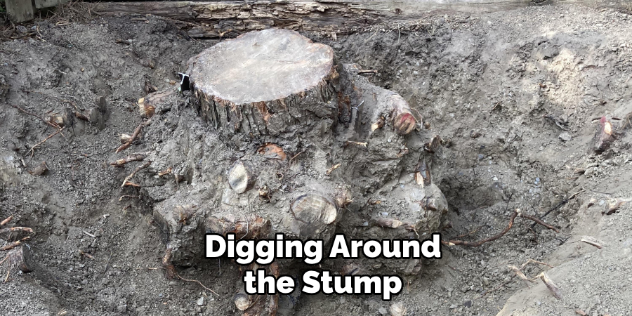 Digging Around the Stump