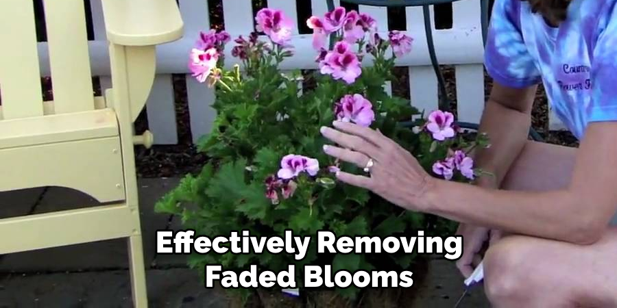 Effectively Removing Faded Blooms