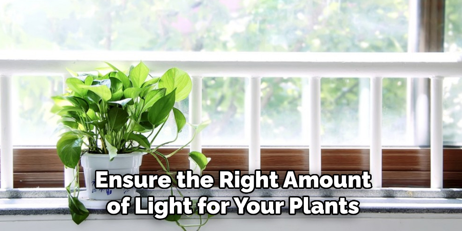 Ensure the Right Amount of Light for Your Plants