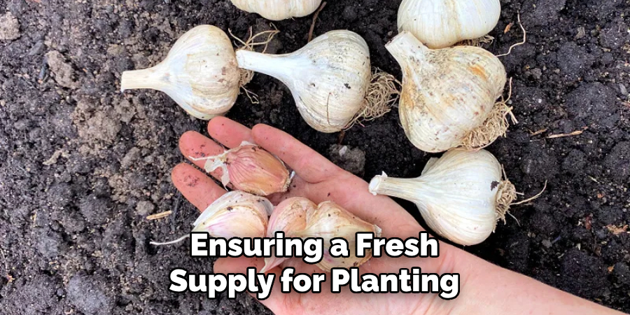 Ensuring a Fresh Supply for Planting