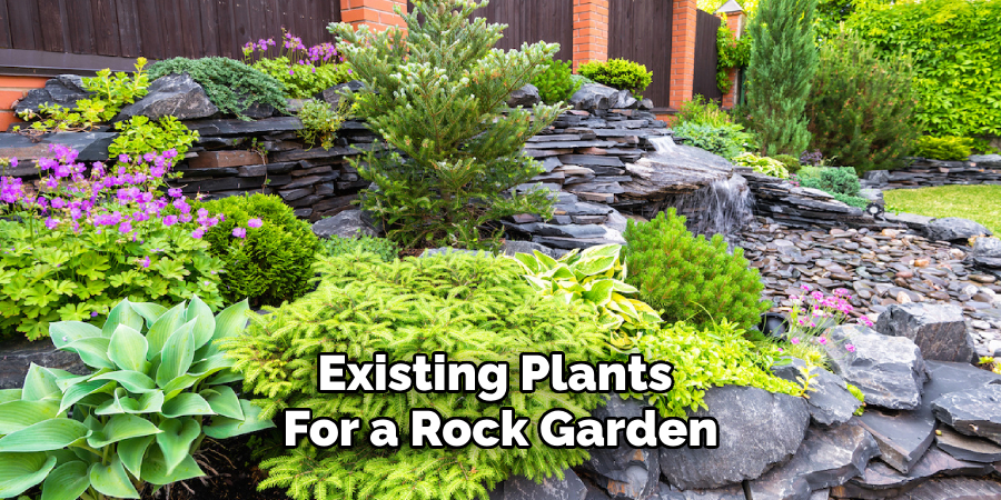 Existing Plants 
For a Rock Garden