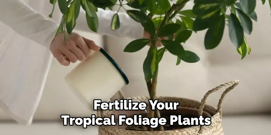 Fertilize Your Tropical Foliage Plants