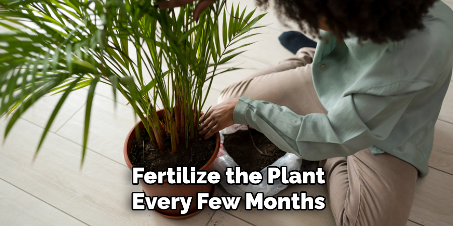Fertilize the Plant Every Few Months