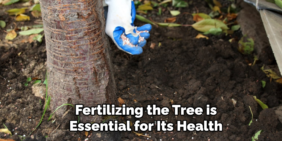 Fertilizing the Tree is Essential for Its Health
