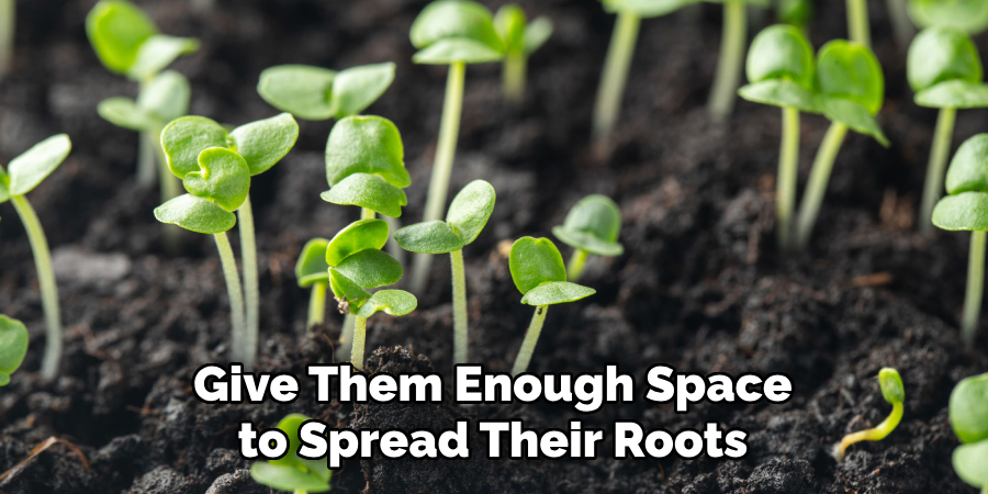 Give Them Enough Space to Spread Their Roots