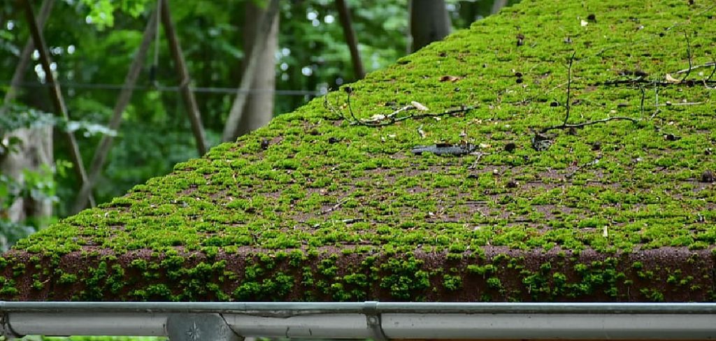 How to Grow Grass on Roof