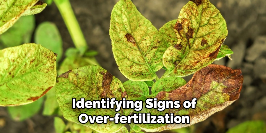 Identifying Signs of Over-fertilization