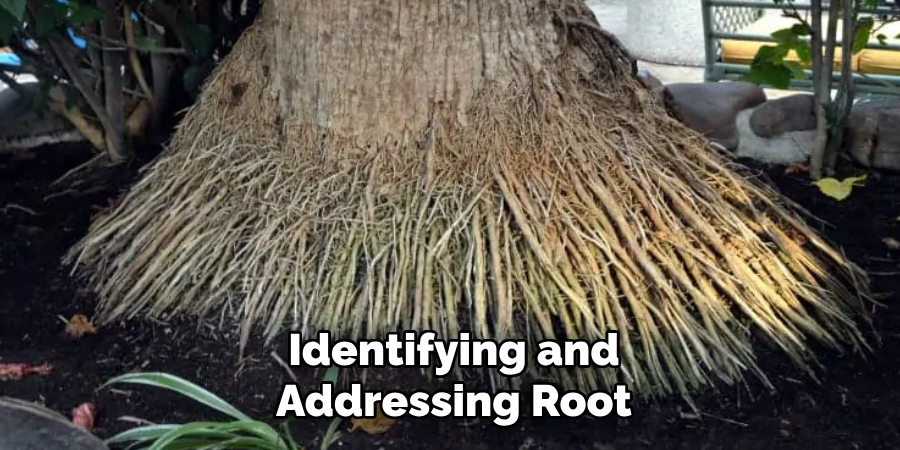 Identifying and Addressing Root
