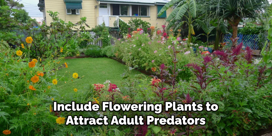 Include Flowering Plants to Attract Adult Predators