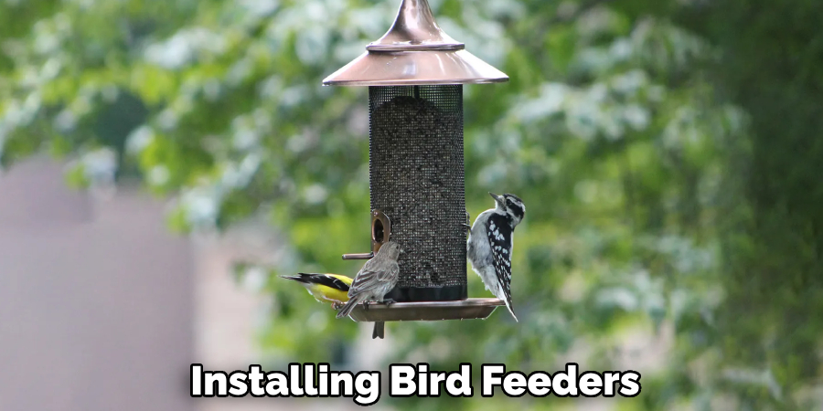 Installing Bird Feeders