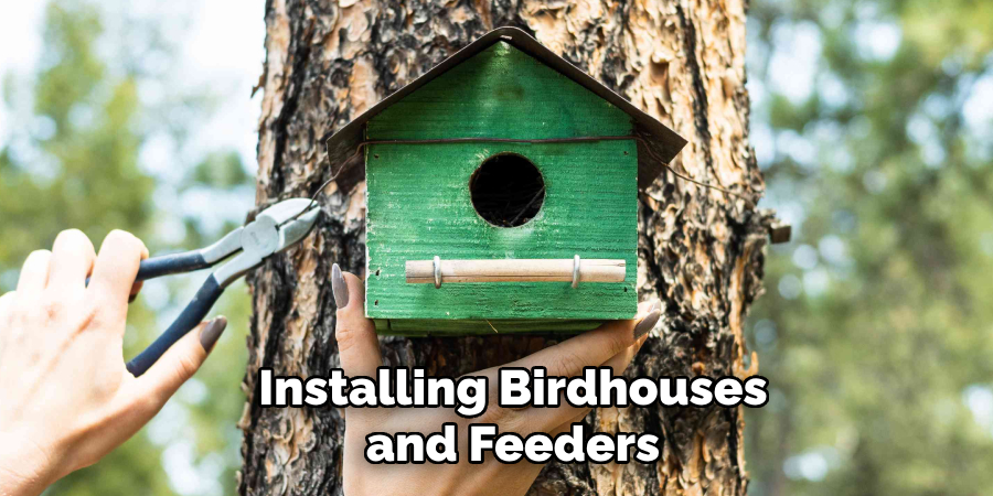 Installing Birdhouses and Feeders