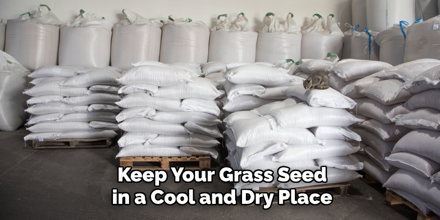 Keep Your Grass Seed in a Cool and Dry Place