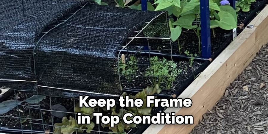 Keep the Frame in Top Condition