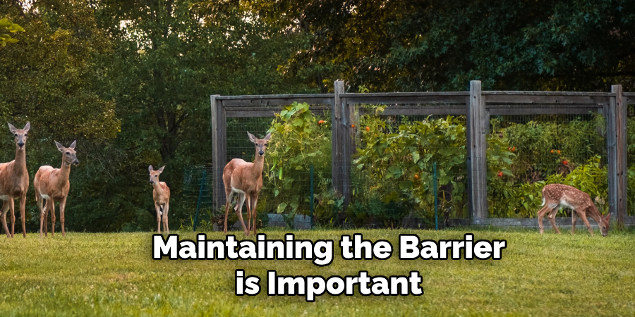 Maintaining the Barrier is Important