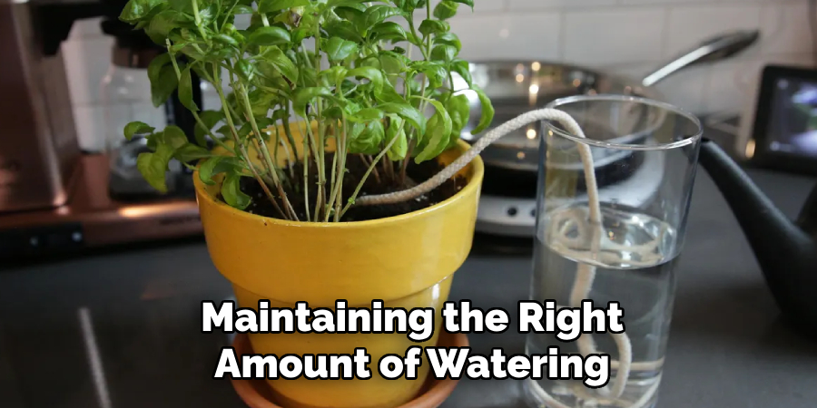 Maintaining the Right Amount of Watering