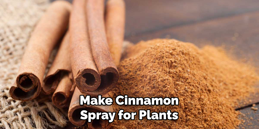Make Cinnamon Spray for Plants