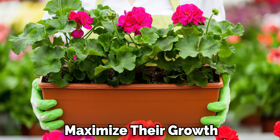 Maximize Their Growth