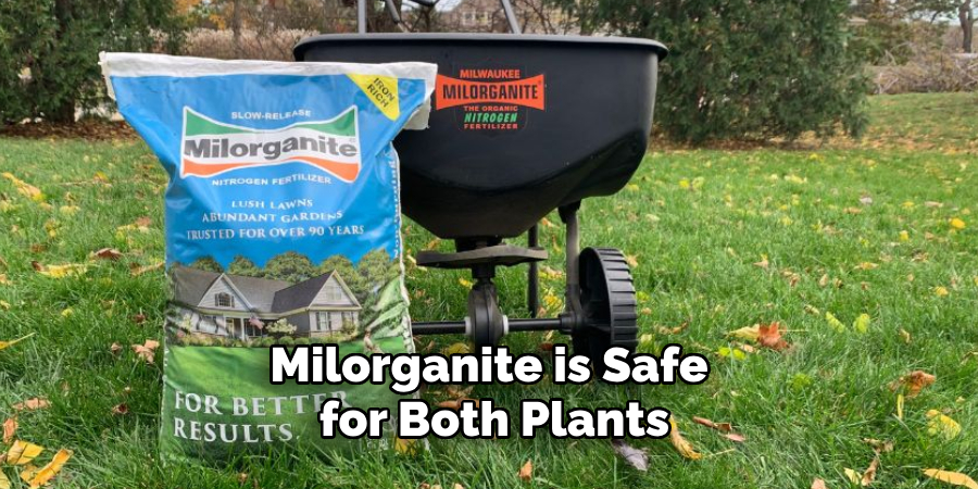 Milorganite is Safe for Both Plants