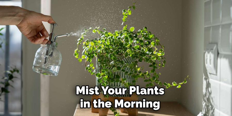 Mist Your Plants in the Morning