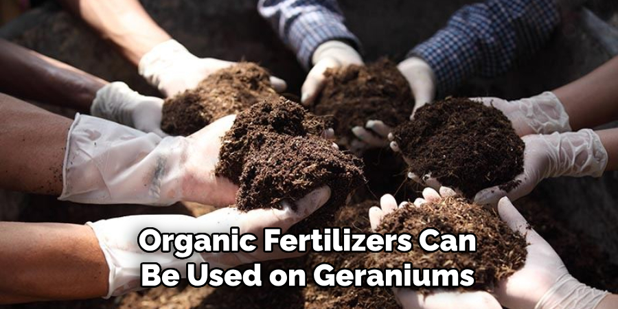 Organic Fertilizers Can Be Used on Geraniums