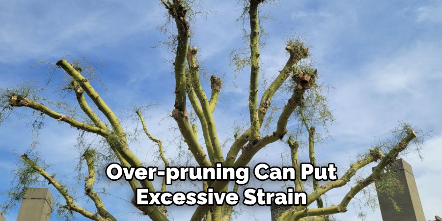 Over-pruning Can Put Excessive Strain