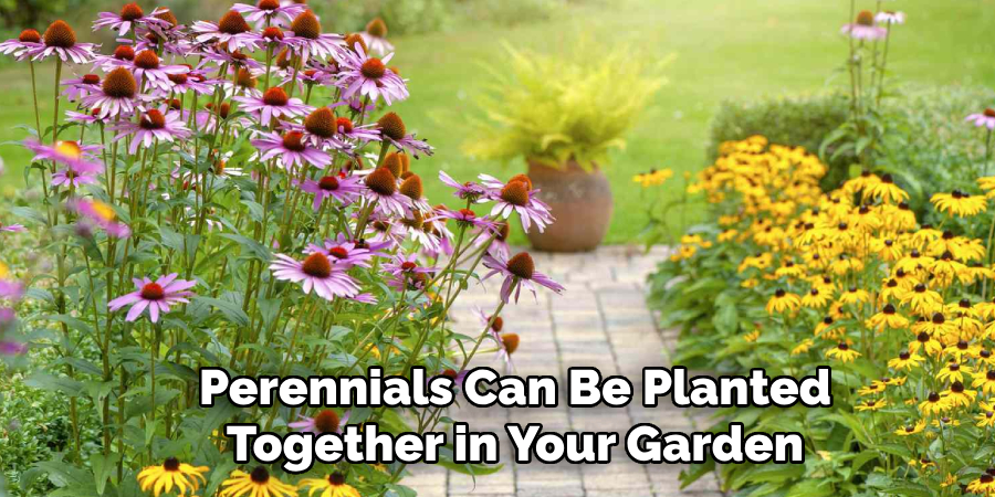 Perennials Can Be Planted Together in Your Garden