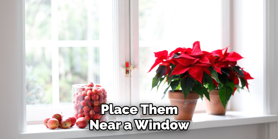 Place Them Near a Window