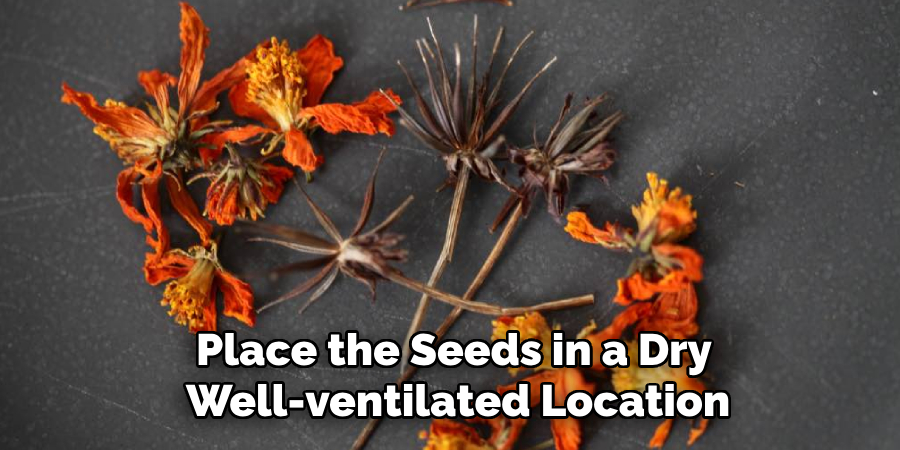 Place the Seeds in a Dry Well-ventilated Location