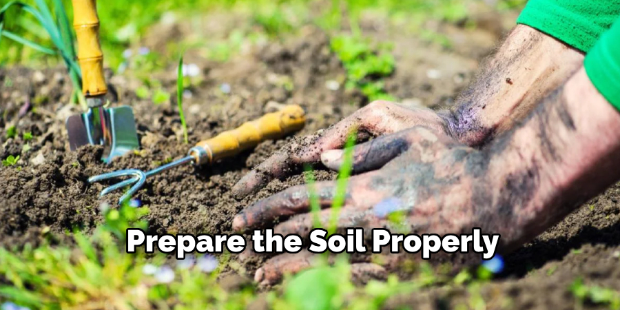 Prepare the Soil Properly