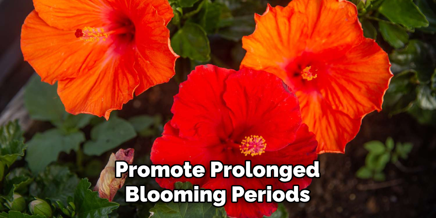 Promote Prolonged Blooming Periods