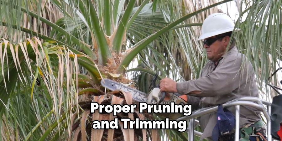 Proper Pruning and Trimming