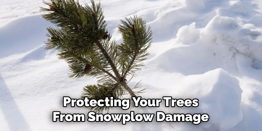 Protecting Your Trees From Snowplow Damage
