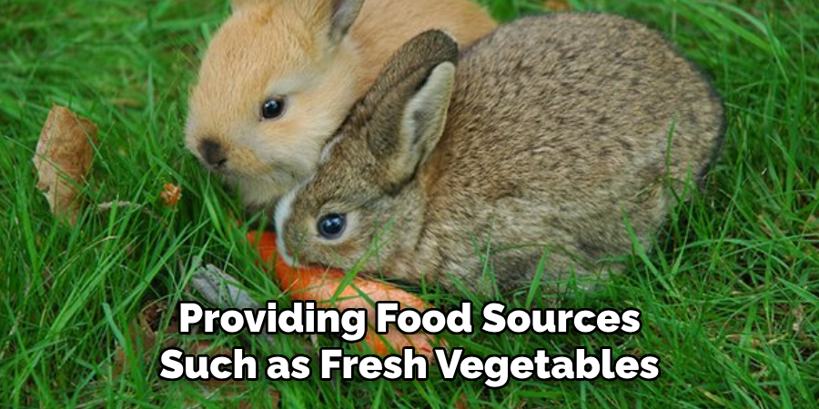 Providing Food Sources Such as Fresh Vegetables