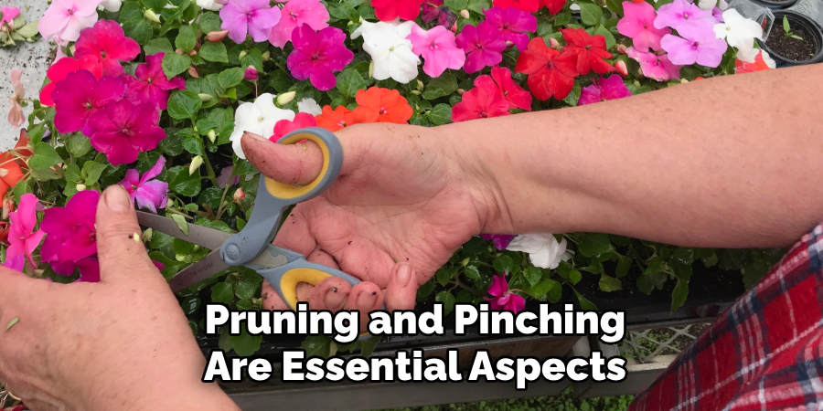 Pruning and Pinching Are Essential Aspects