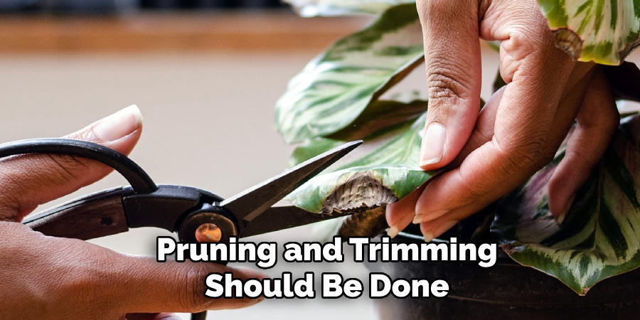 Pruning and Trimming Should Be Done