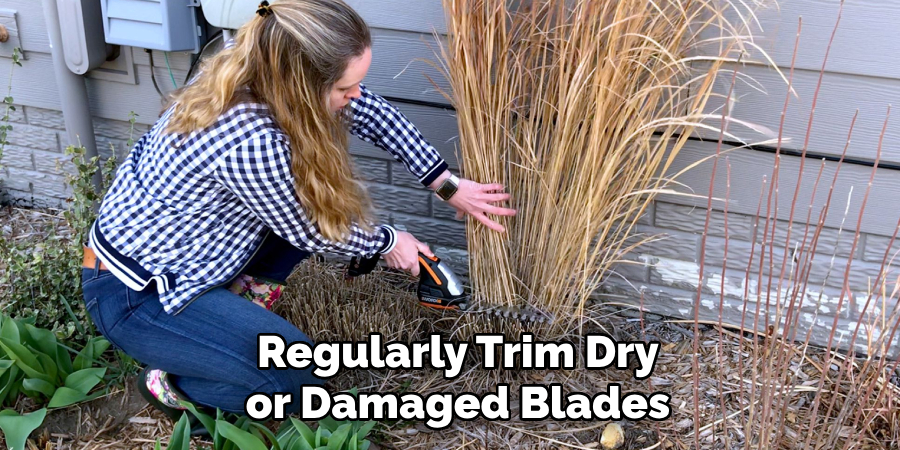 Regularly Trim Dry or Damaged Blades