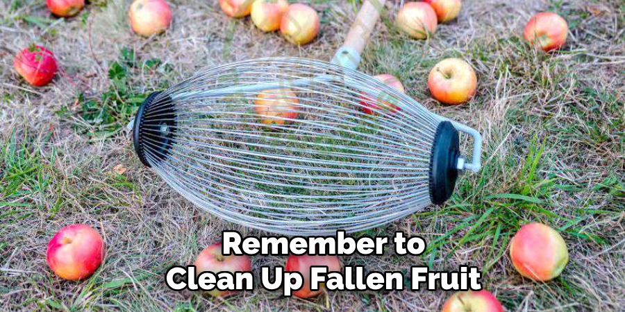 Remember to Clean Up Fallen Fruit