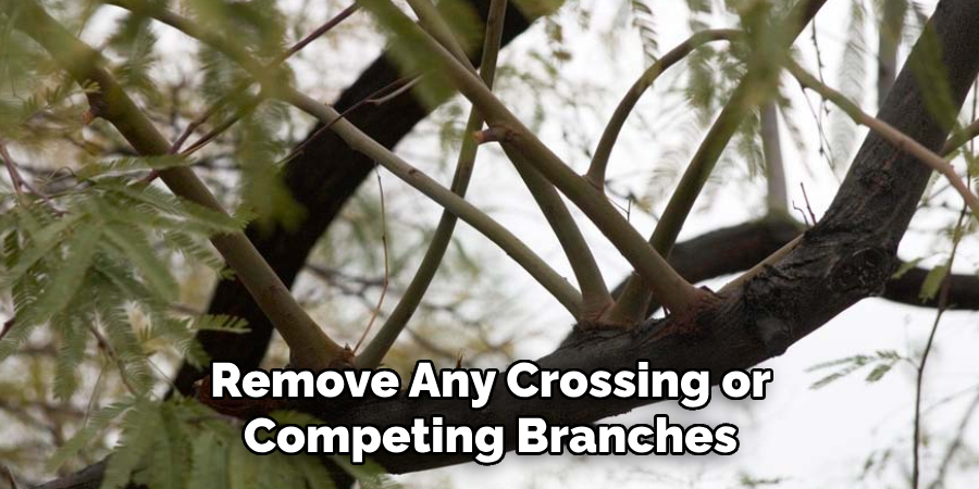 Remove Any Crossing or Competing Branches