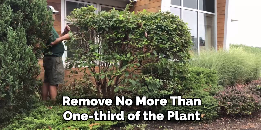 Remove No More Than One-third of the Plant