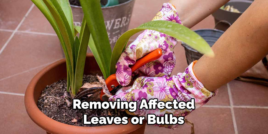 Removing Affected Leaves or Bulbs
