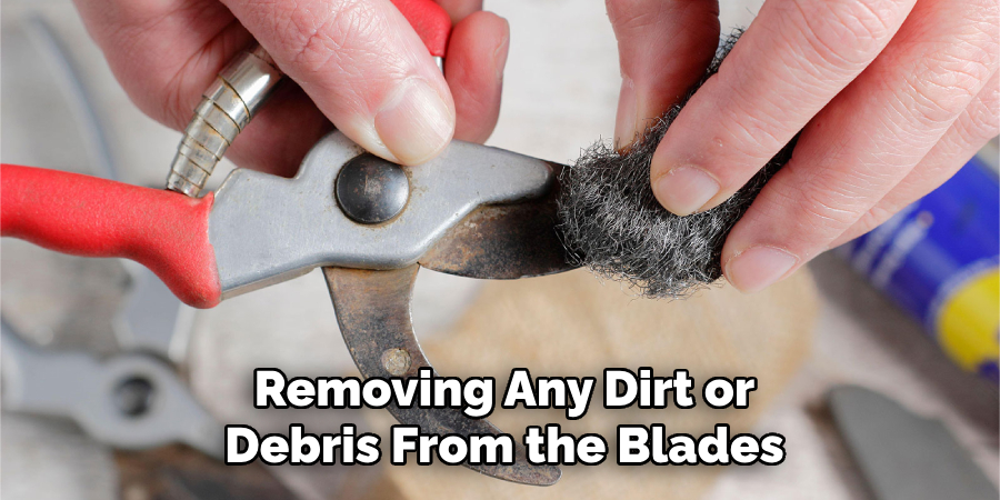 Removing Any Dirt or Debris From the Blades