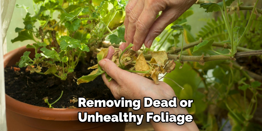 Removing Dead or Unhealthy Foliage