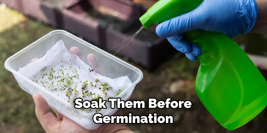 Soak Them Before Germination