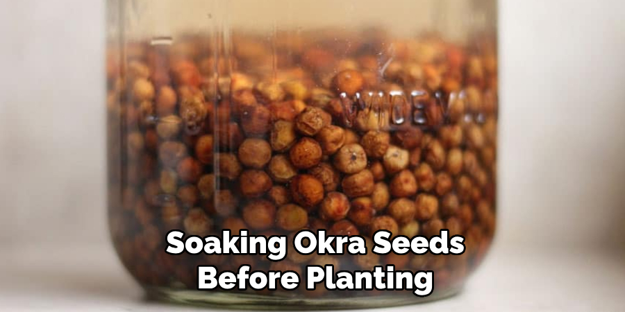Soaking Okra Seeds Before Planting