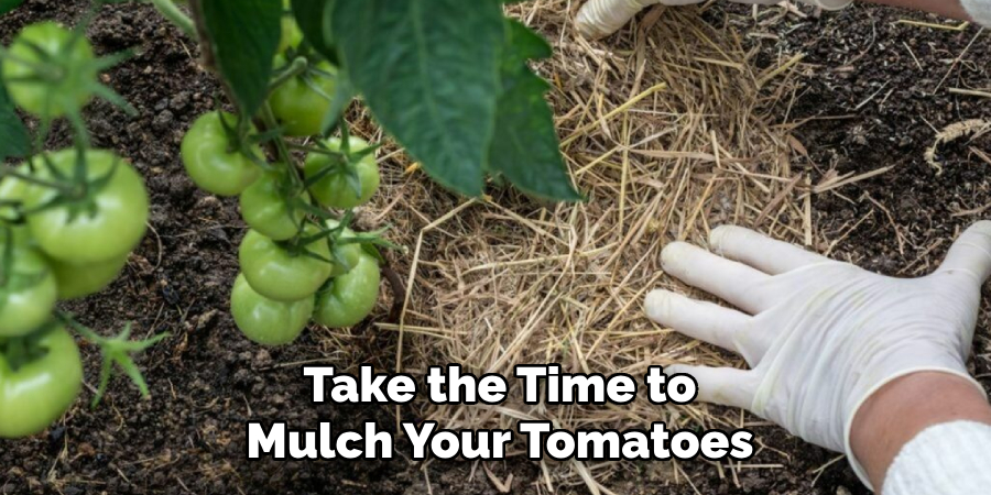 Take the Time to Mulch Your Tomatoes