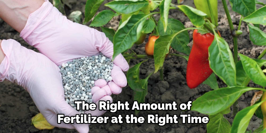The Right Amount of Fertilizer at the Right Time