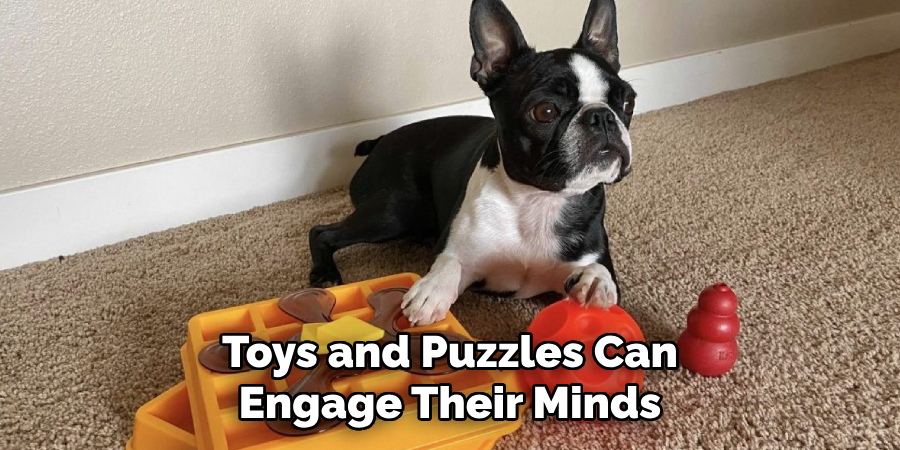 Toys and Puzzles Can Engage Their Minds