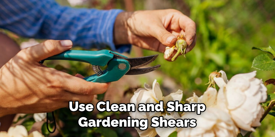 Use Clean and Sharp Gardening Shears
