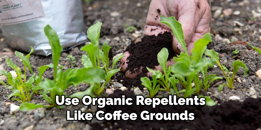 Use Organic Repellents Like Coffee Grounds