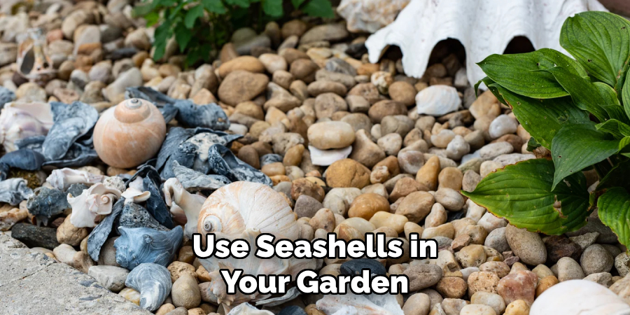 Use Seashells in Your Garden